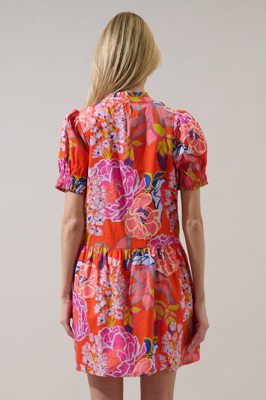 Darcy Shift Dress