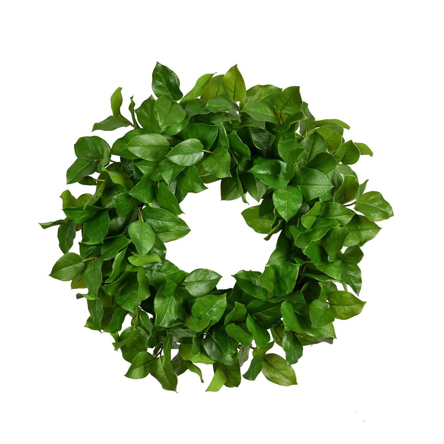 28” Salal Wreath