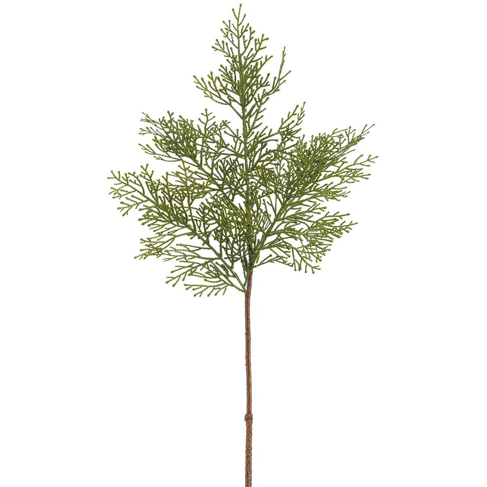 Cedar Spray