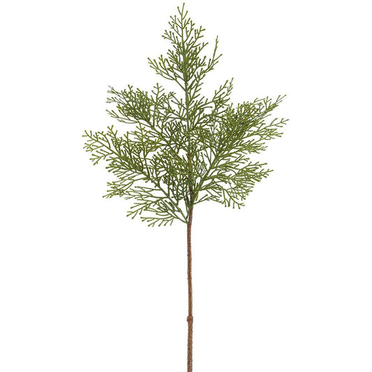 Cedar Spray